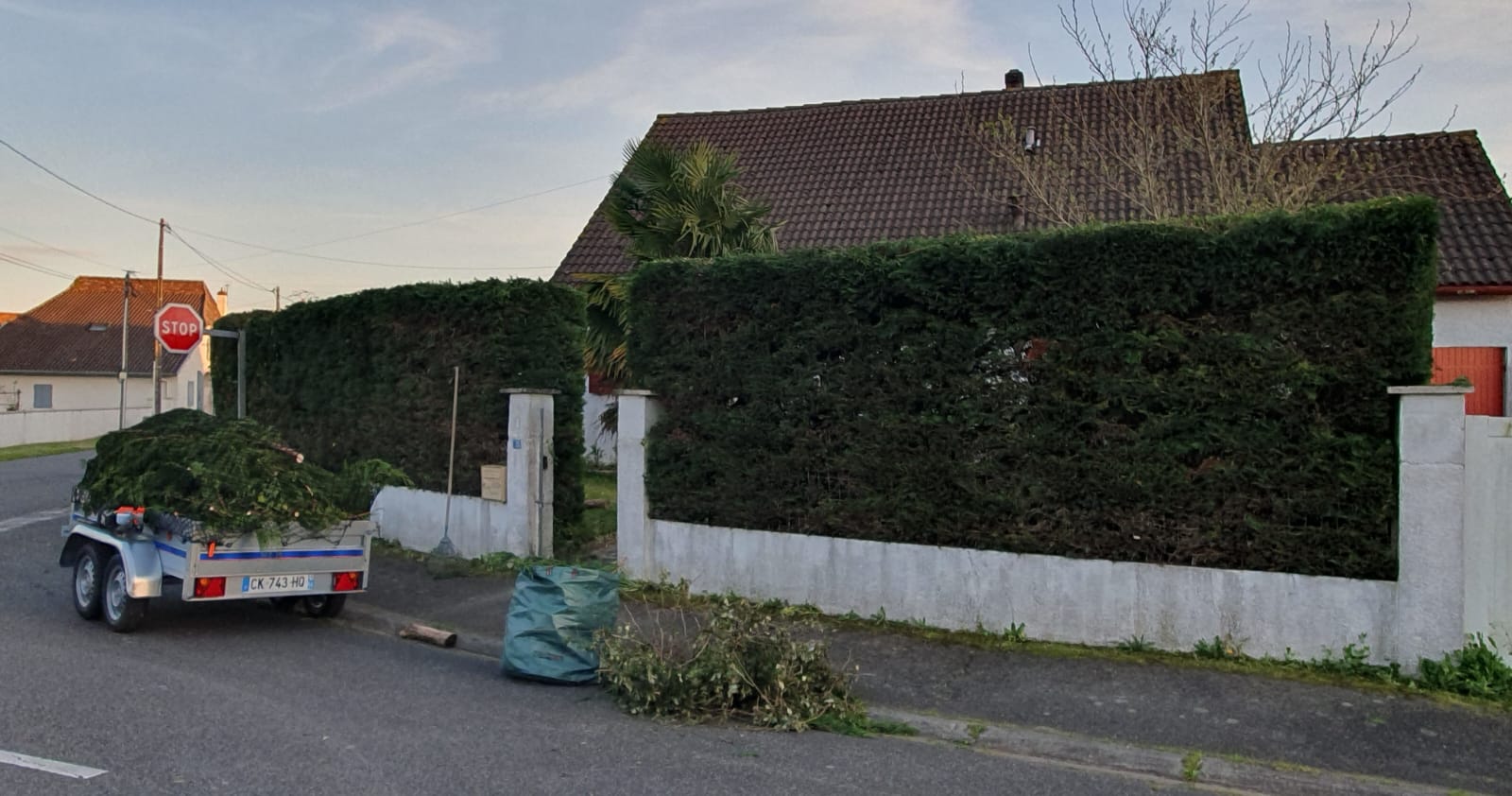 Après taille de haie